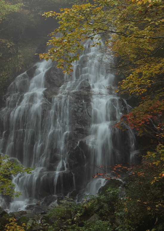 e0249878_02786.jpg