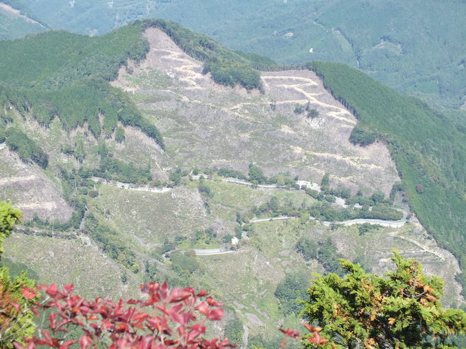 a0040879_13241569.jpg