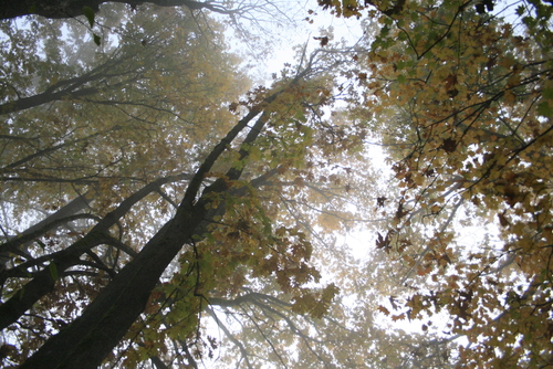 d0114280_443078.jpg