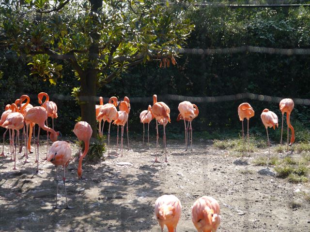 f0167281_14454100.jpg