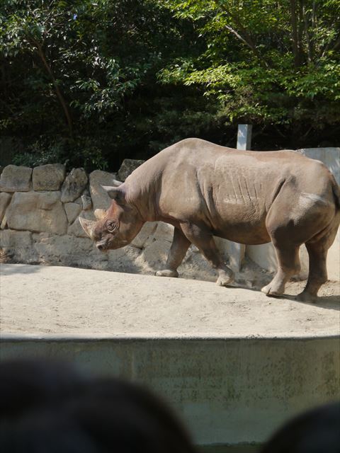 f0167281_1451899.jpg