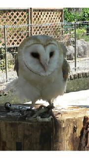 c0035386_23251083.jpg