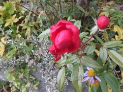 c0078586_21193245.jpg