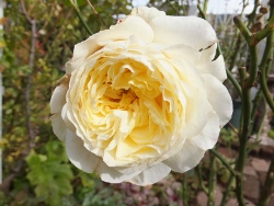 c0078586_21252035.jpg
