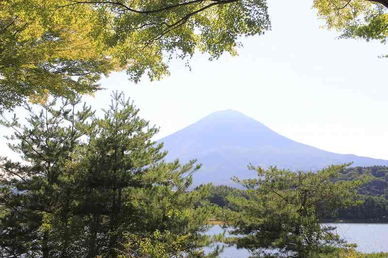 a0188405_1134987.jpg