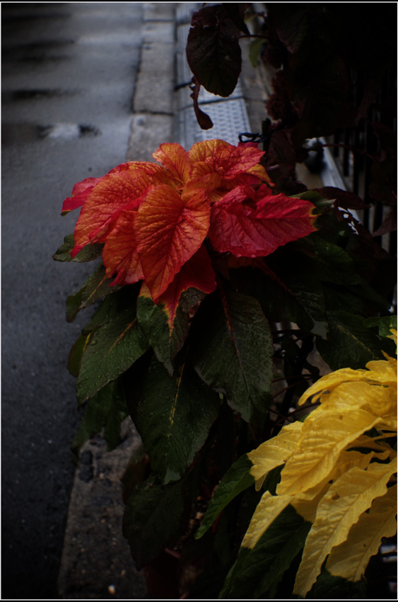 b0226423_21445367.jpg