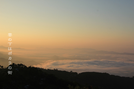 d0042827_1305572.jpg