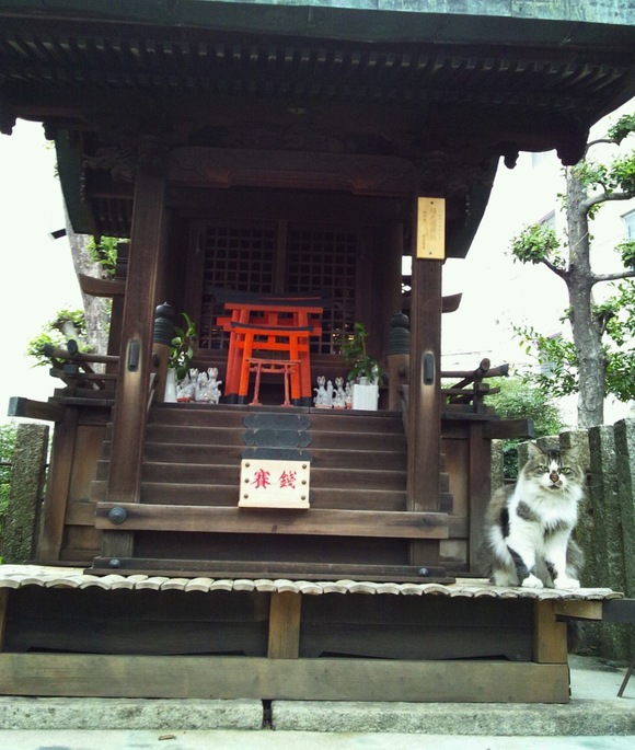 f0247039_13224854.jpg