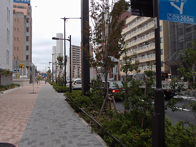 d0093043_1844748.jpg