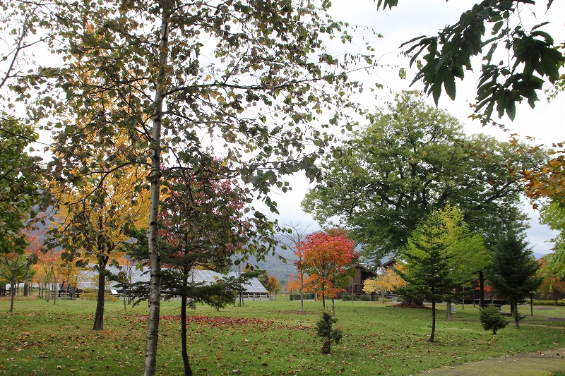 b0250154_77073.jpg
