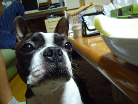 c0266868_9151734.jpg