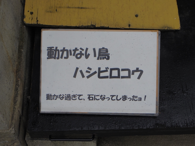 d0031171_755383.jpg