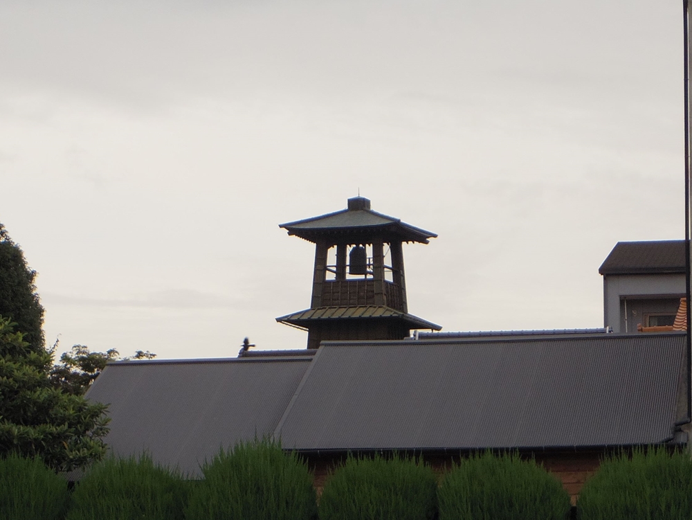d0031171_88356.jpg