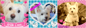 b0242873_23582438.png