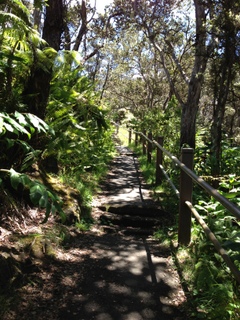 e0070577_221402.jpg