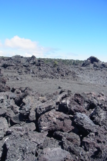 e0070577_2229285.jpg