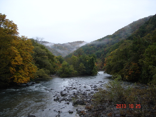 d0165378_9404727.jpg