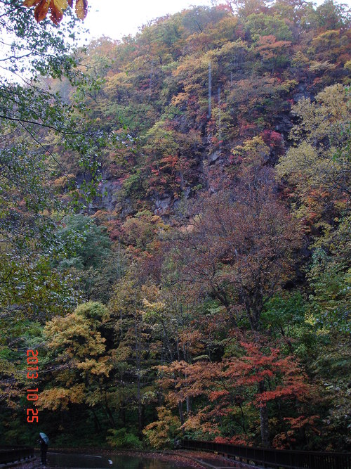 d0165378_94656100.jpg