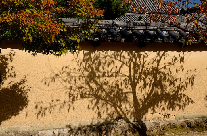 f0108478_9142785.jpg