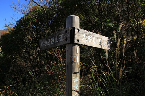 b0286982_1053465.jpg