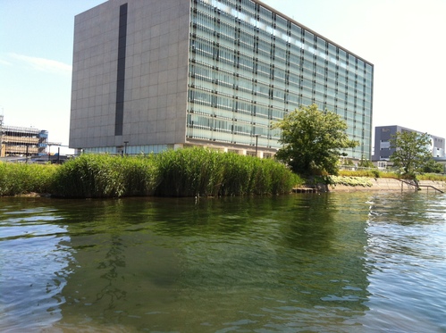 b0174284_1920085.jpg