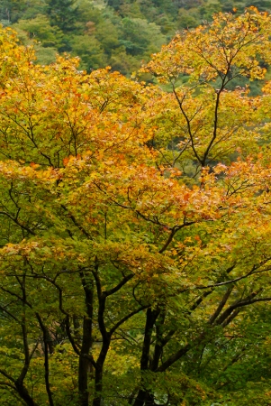b0226089_18155567.jpg