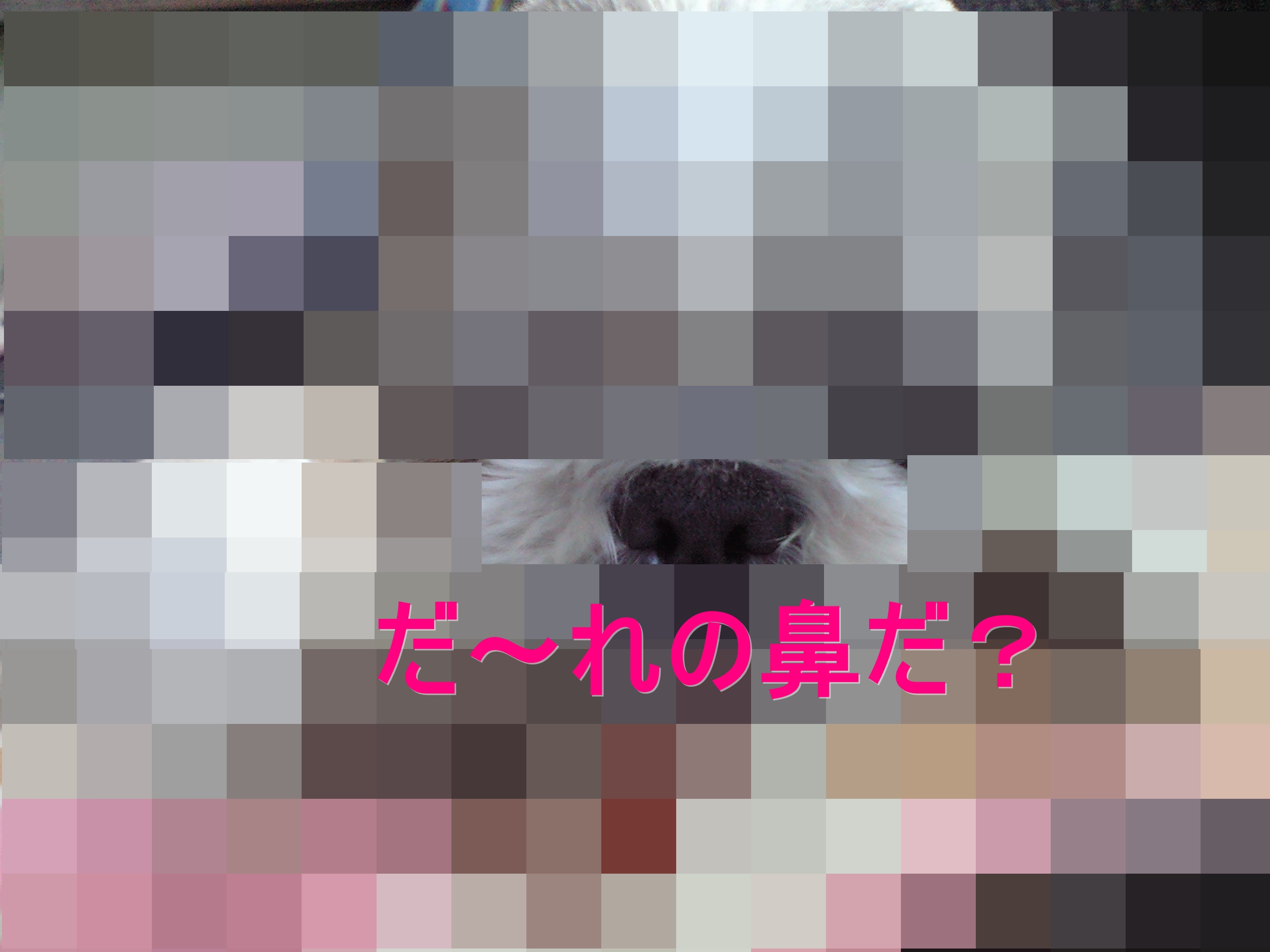 b0124693_8345455.jpg