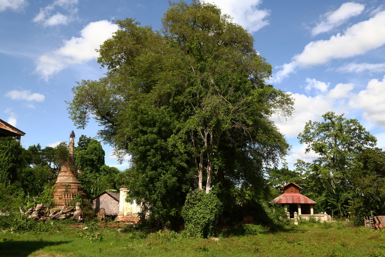 c0248100_164163.jpg