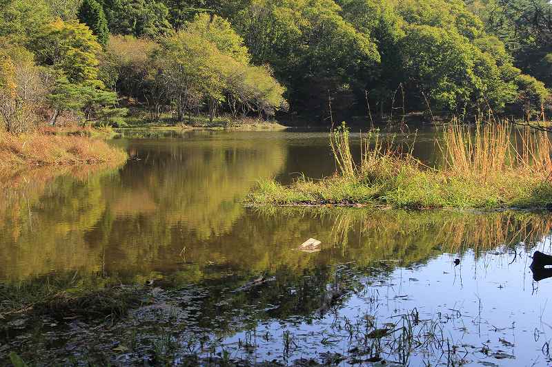 a0188405_881192.jpg