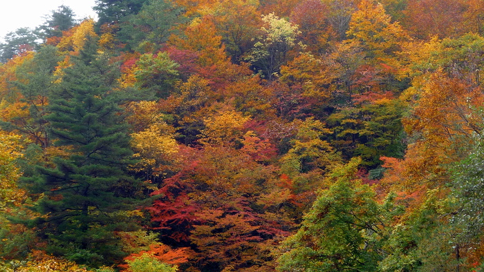 a0214206_22223630.jpg