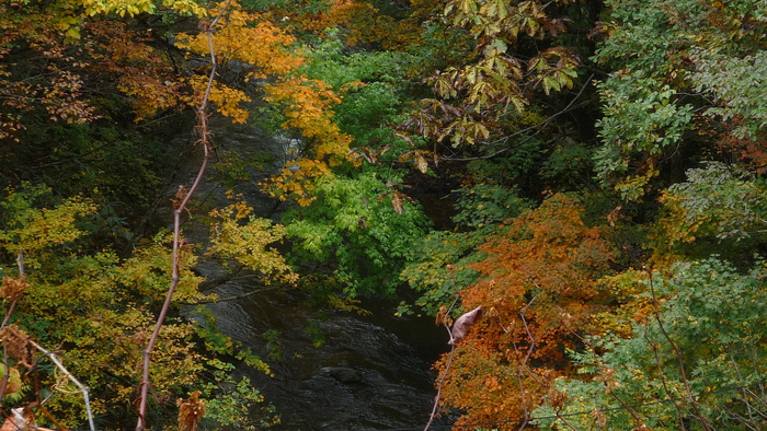 a0214206_2223534.jpg