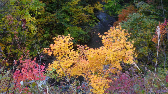a0214206_22272730.jpg