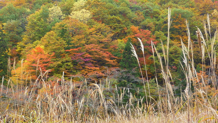 a0214206_22354756.jpg