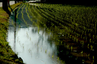 f0000211_2043537.jpg
