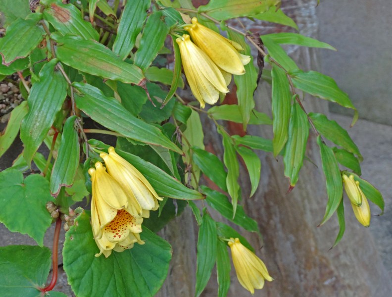 c0042418_8281694.jpg