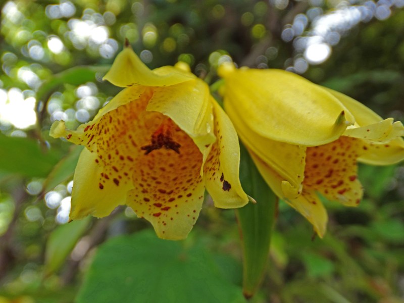 c0042418_8285377.jpg