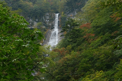 e0284019_17551744.gif