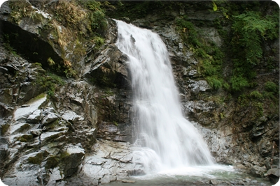 e0284019_2051930.jpg