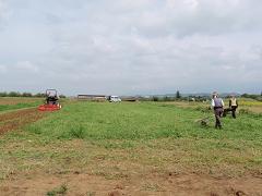 f0022024_1075795.jpg