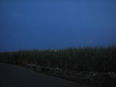 b0080027_643519.jpg