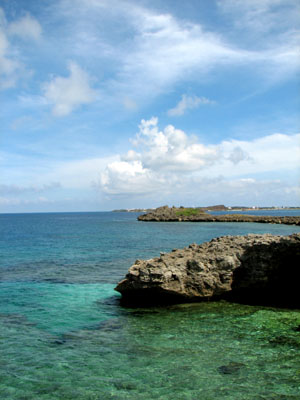 b0080027_6494342.jpg