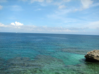 b0080027_6502222.jpg