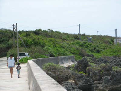 b0080027_6522865.jpg