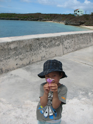 b0080027_6525679.jpg