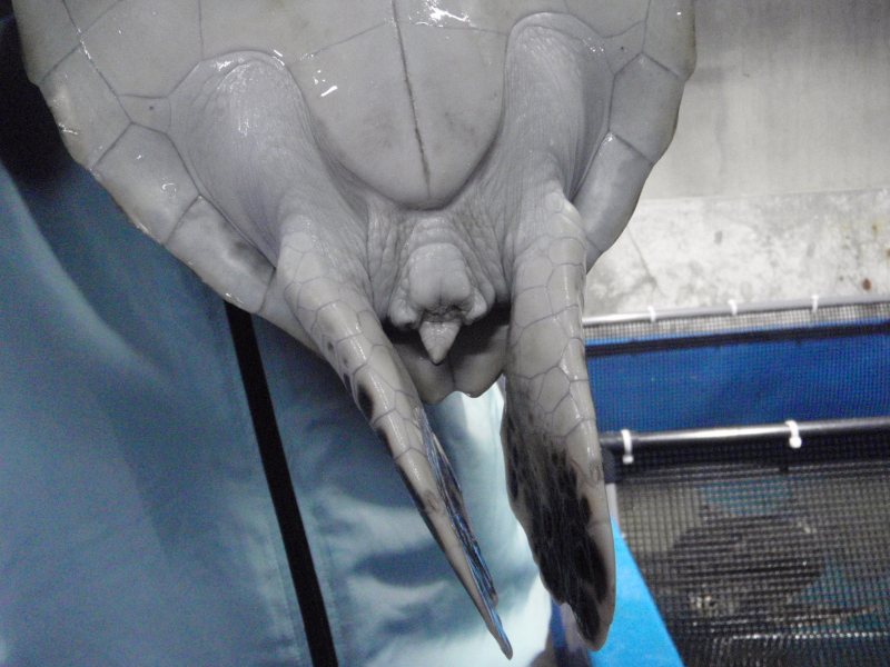 c0034029_020085.jpg
