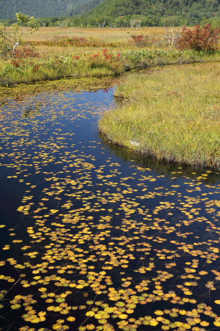 f0017530_22225547.jpg