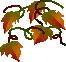 a0017634_1859189.gif