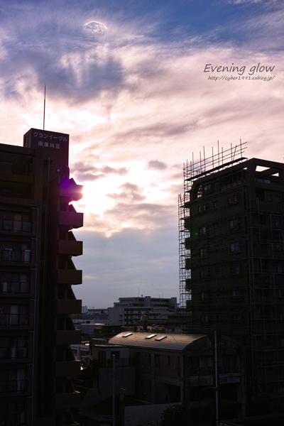 f0009439_1664990.jpg