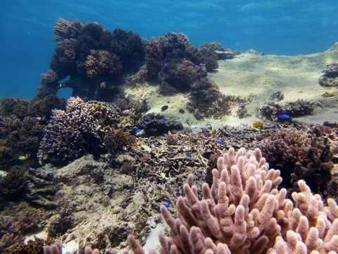 f0014842_1614093.jpg