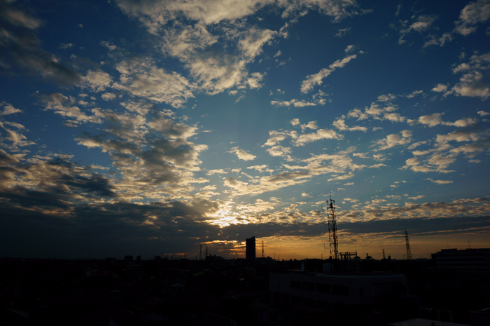 b0118743_18495565.jpg